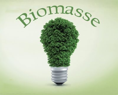 biomassa differenza termovalorizzatore