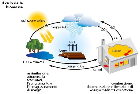 energia dai rifiuti