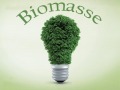 biomasse