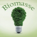 biomasse